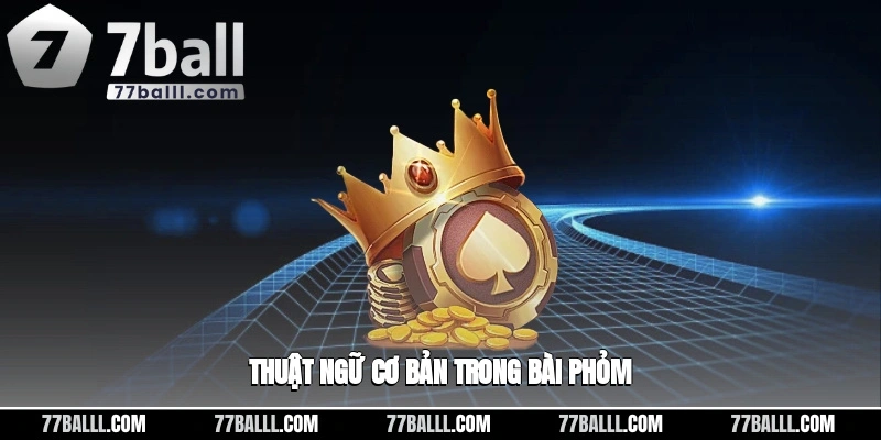 Thuật ngữ cơ bản được sử dụng trong bài phỏm